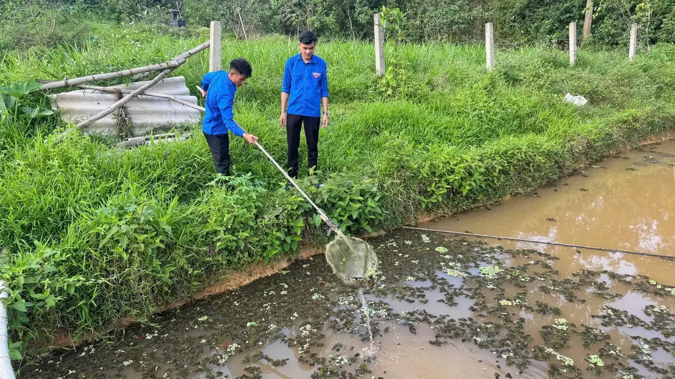 Những người trẻ quyết làm giàu trên vùng đất khó