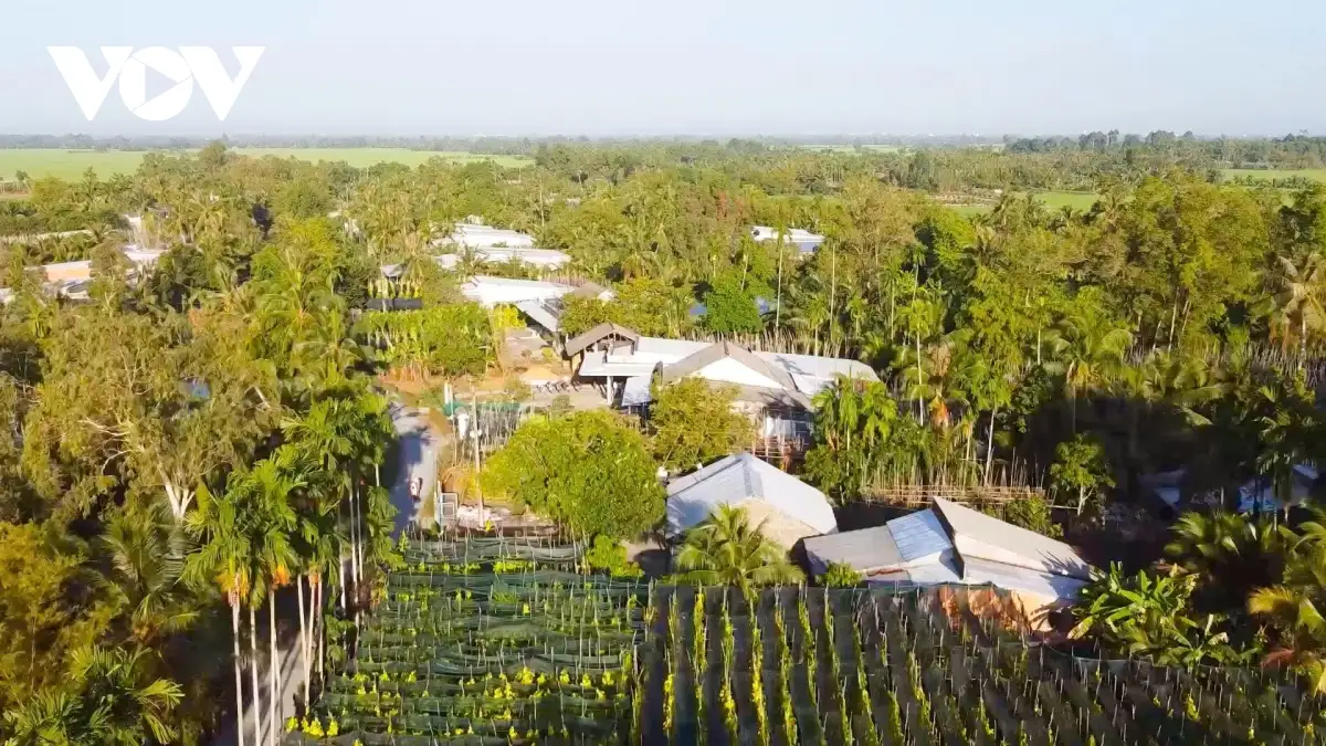 Tiềm năng du lịch cộng đồng tại làng trầu Vị Thủy (Cần Thơ)