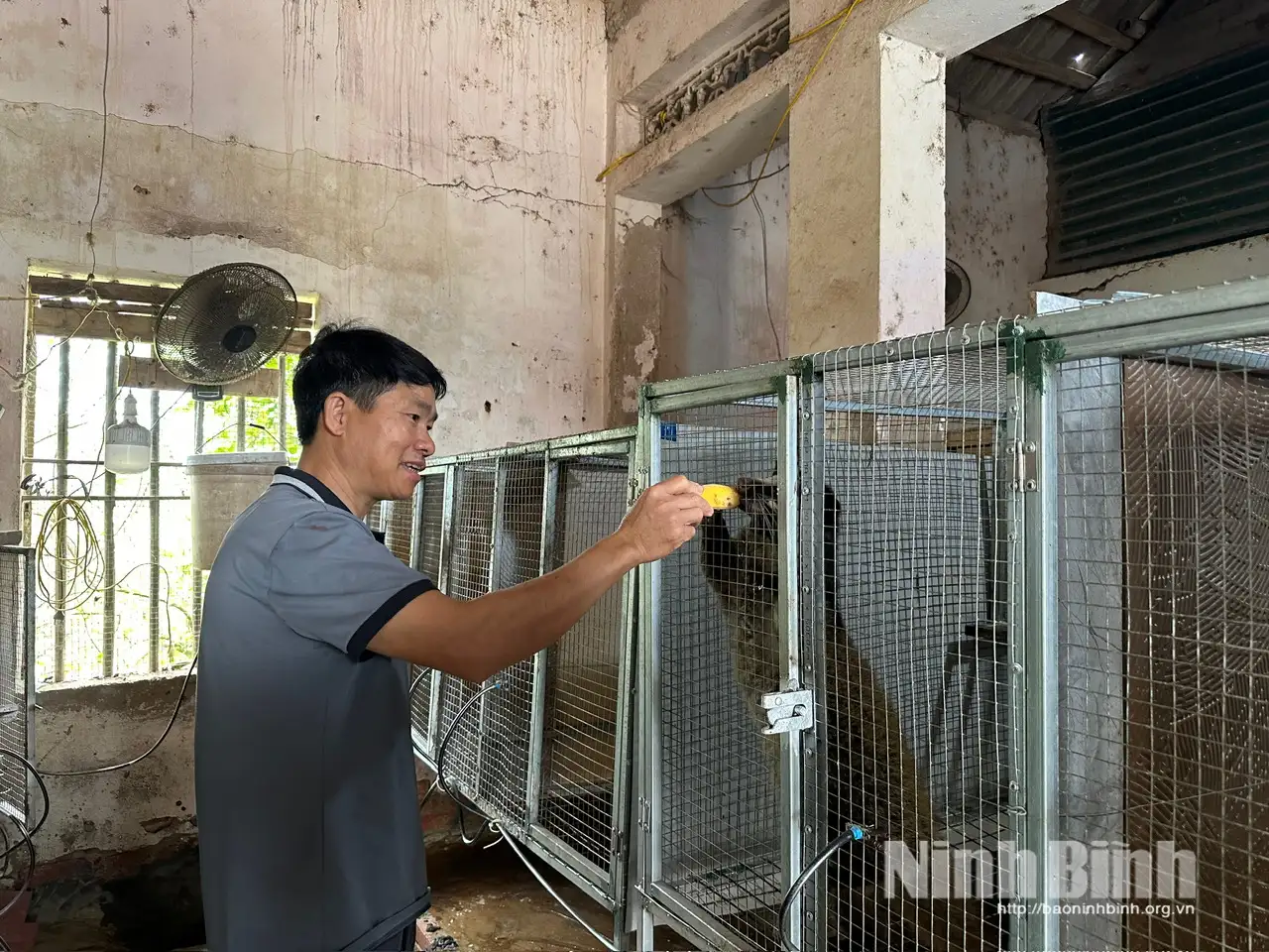 Định Hóa: Đánh thức tiềm năng kinh tế từ con nuôi đặc sản