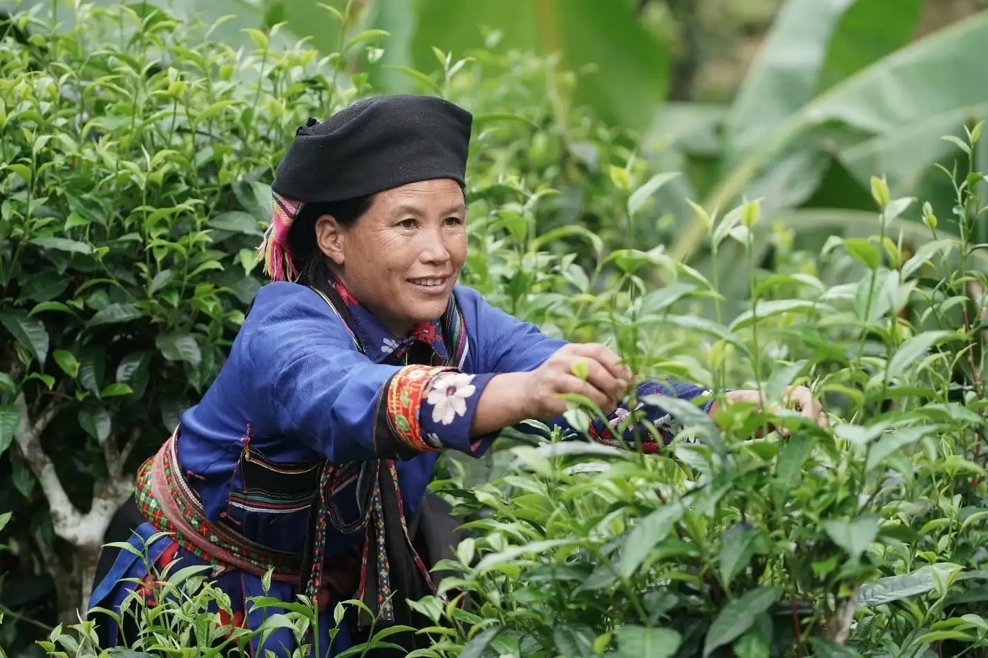 Quảng Ninh là tỉnh không còn hộ nghèo và cận nghèo, Tuyên Quang có hộ nghèo, cận nghèo nhiều nhất cả nước