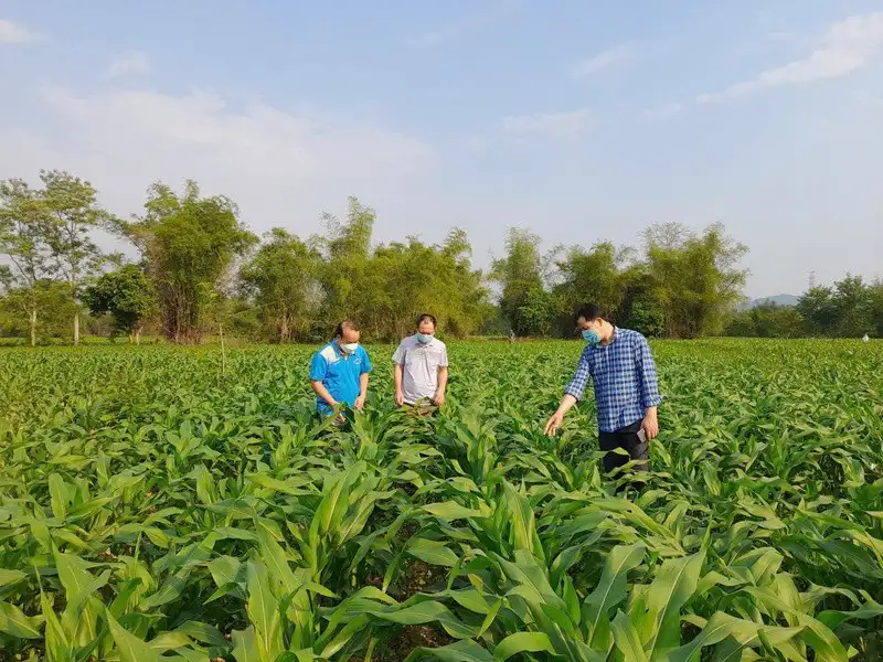 Phiêng Khoài đồng hành cùng doanh nghiệp, hợp tác xã