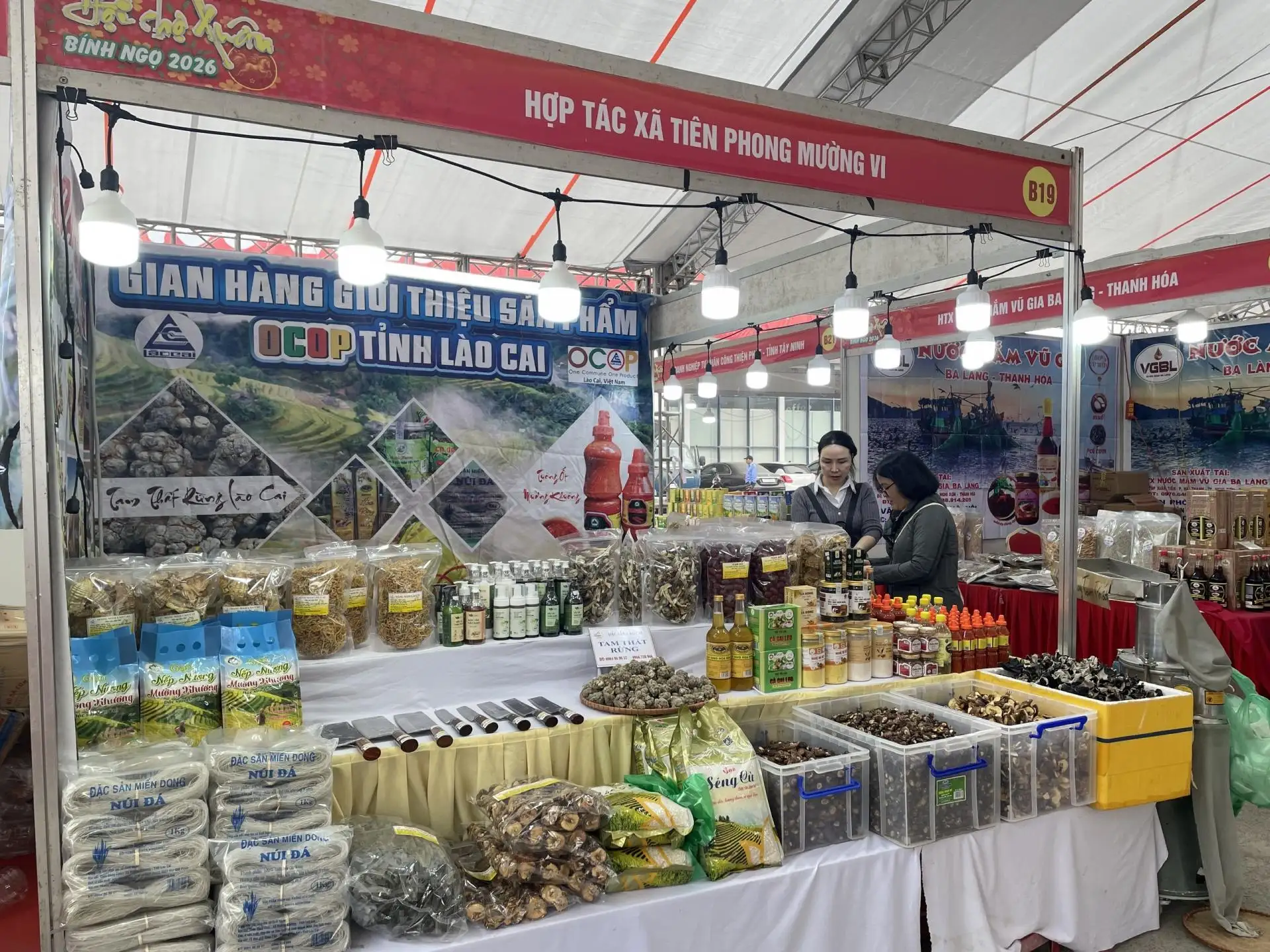 Vai trò của hợp tác xã trong phát triển ngành Nông nghiệp và Môi trường