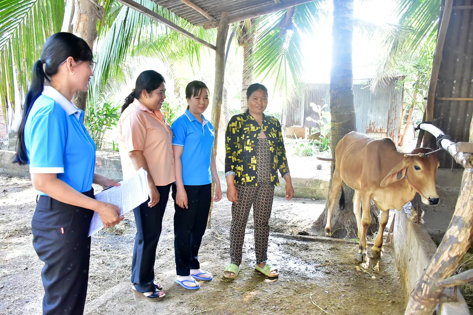 Vốn nhỏ mở sinh kế