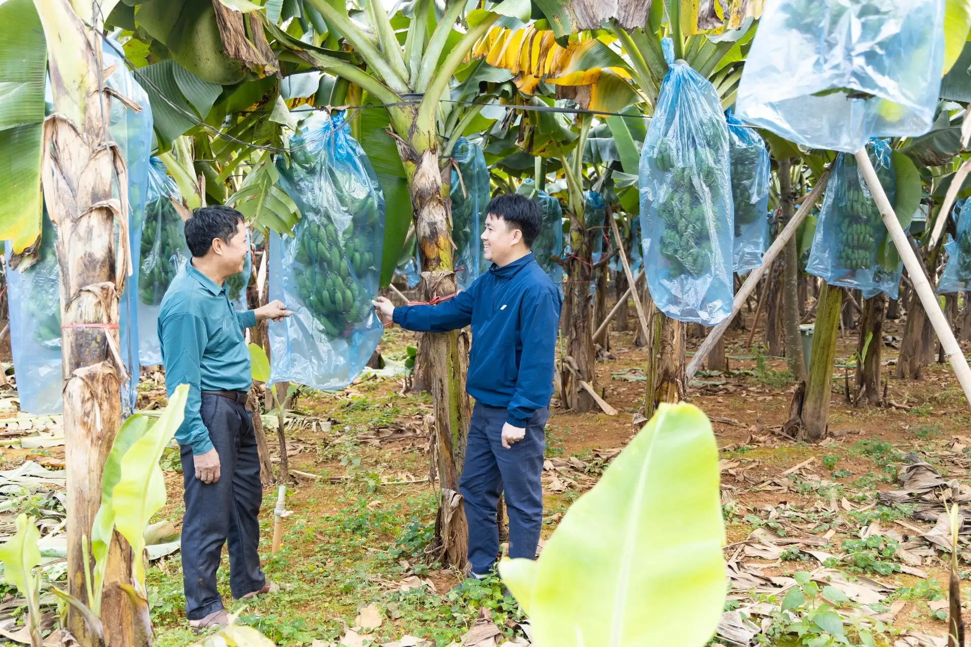 Xã Bất Bạt: Đánh thức hồn quê, viết tiếp khát vọng từ những sản phẩm OCOP