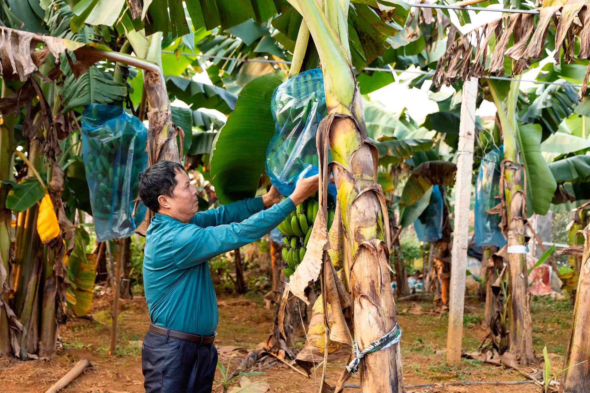 Xã Bất Bạt: Đánh thức hồn quê, viết tiếp khát vọng từ những sản phẩm OCOP