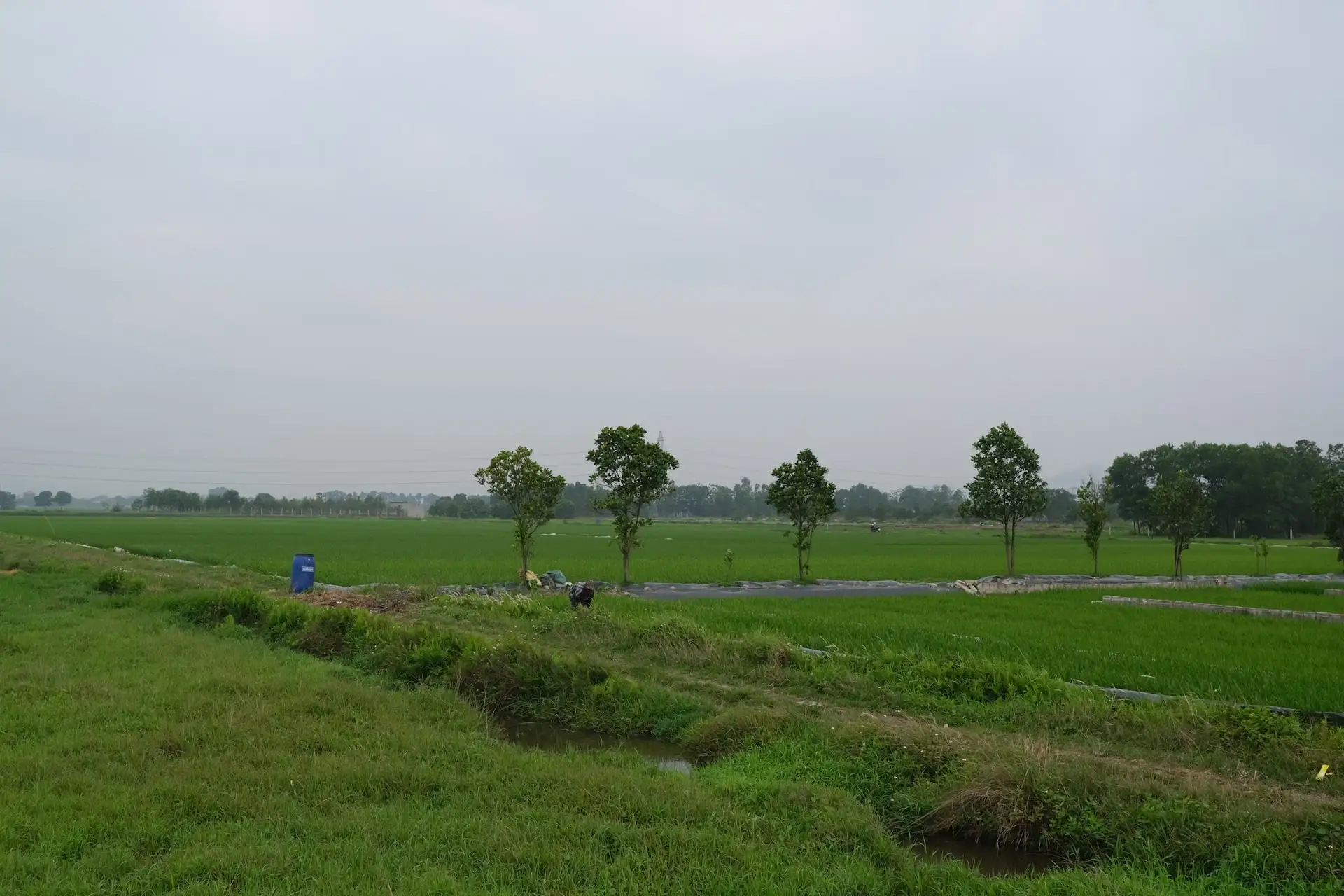 Xã Kim Anh: Nông nghiệp – công thương bứt phá, tạo đà hoàn thành mục tiêu năm 2026