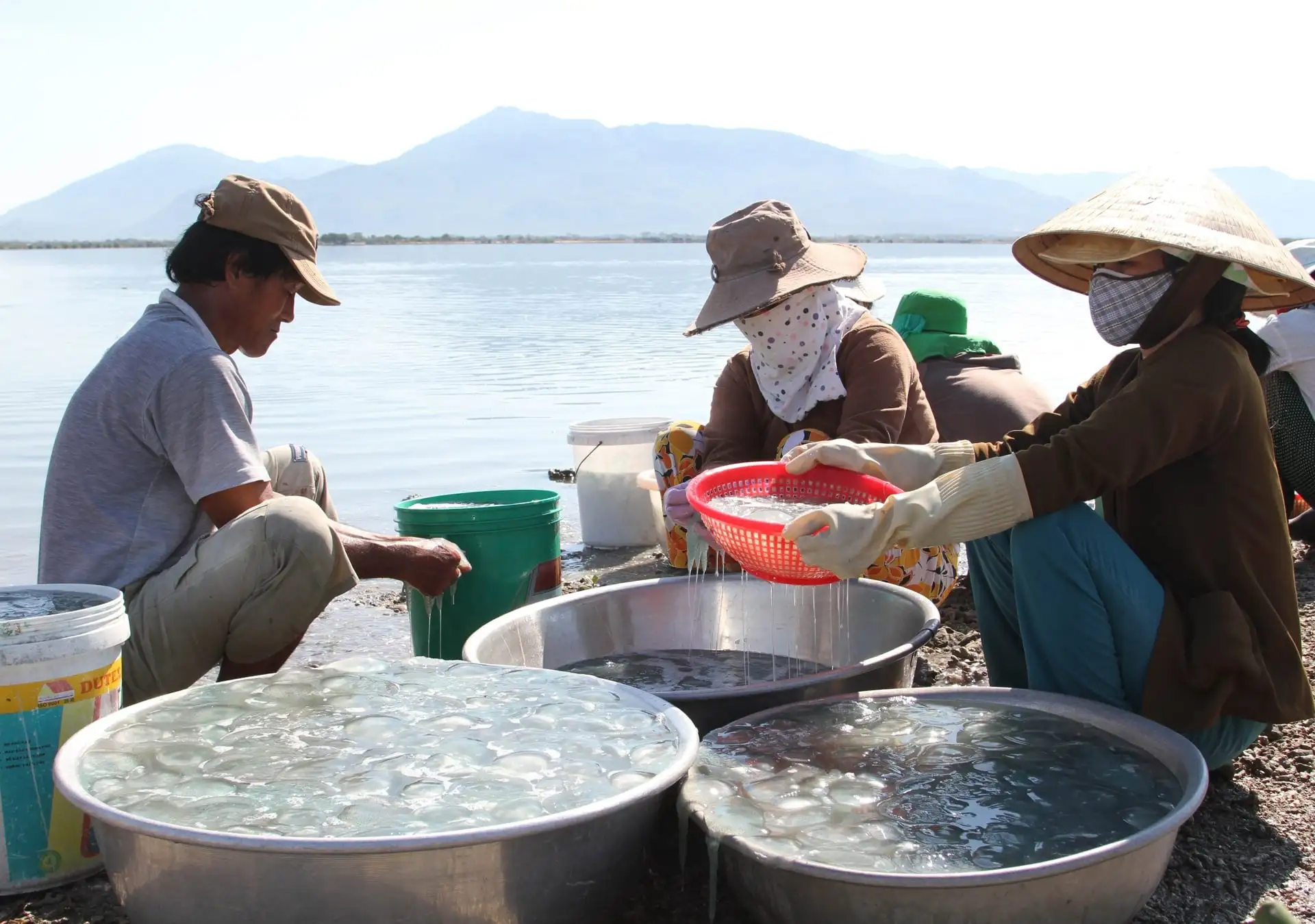 Xã mới này của tỉnh Khánh Hòa (địa phận Ninh Thuận trước đây), Hội cùng nông dân bán đặc sản sao OCOP