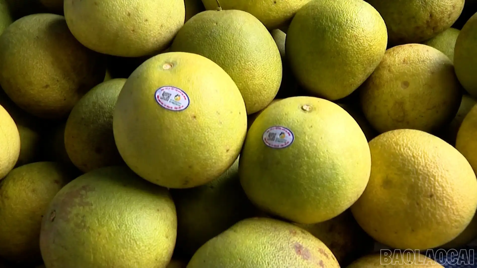 Xây dựng hệ sinh thái truy xuất nguồn gốc hiện đại, minh bạch