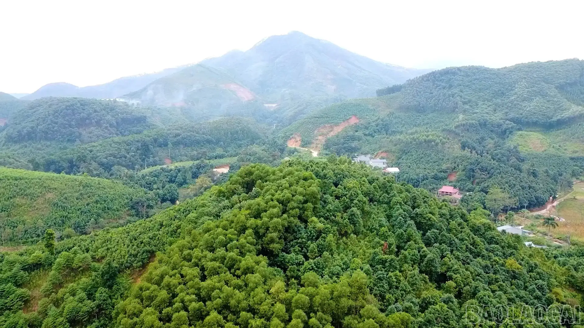 Xây dựng hệ sinh thái truy xuất nguồn gốc hiện đại, minh bạch