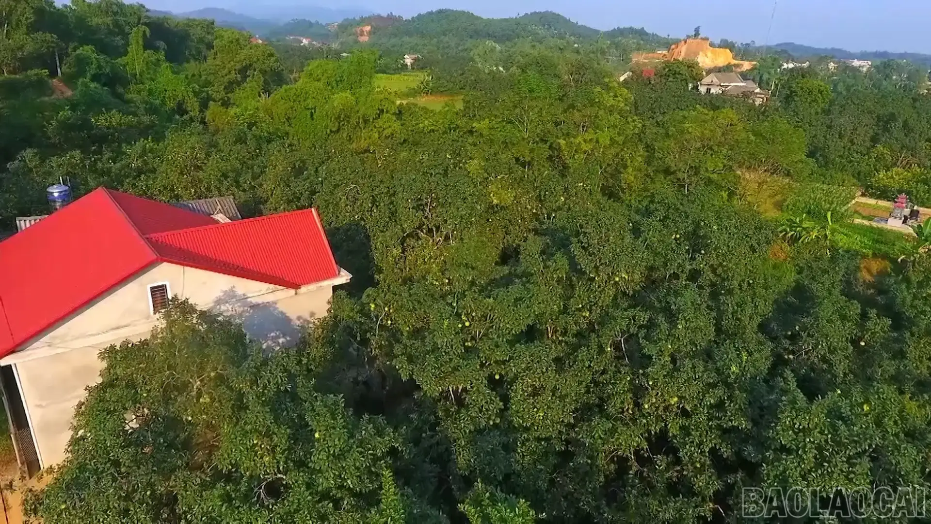 Xây dựng hệ sinh thái truy xuất nguồn gốc hiện đại, minh bạch