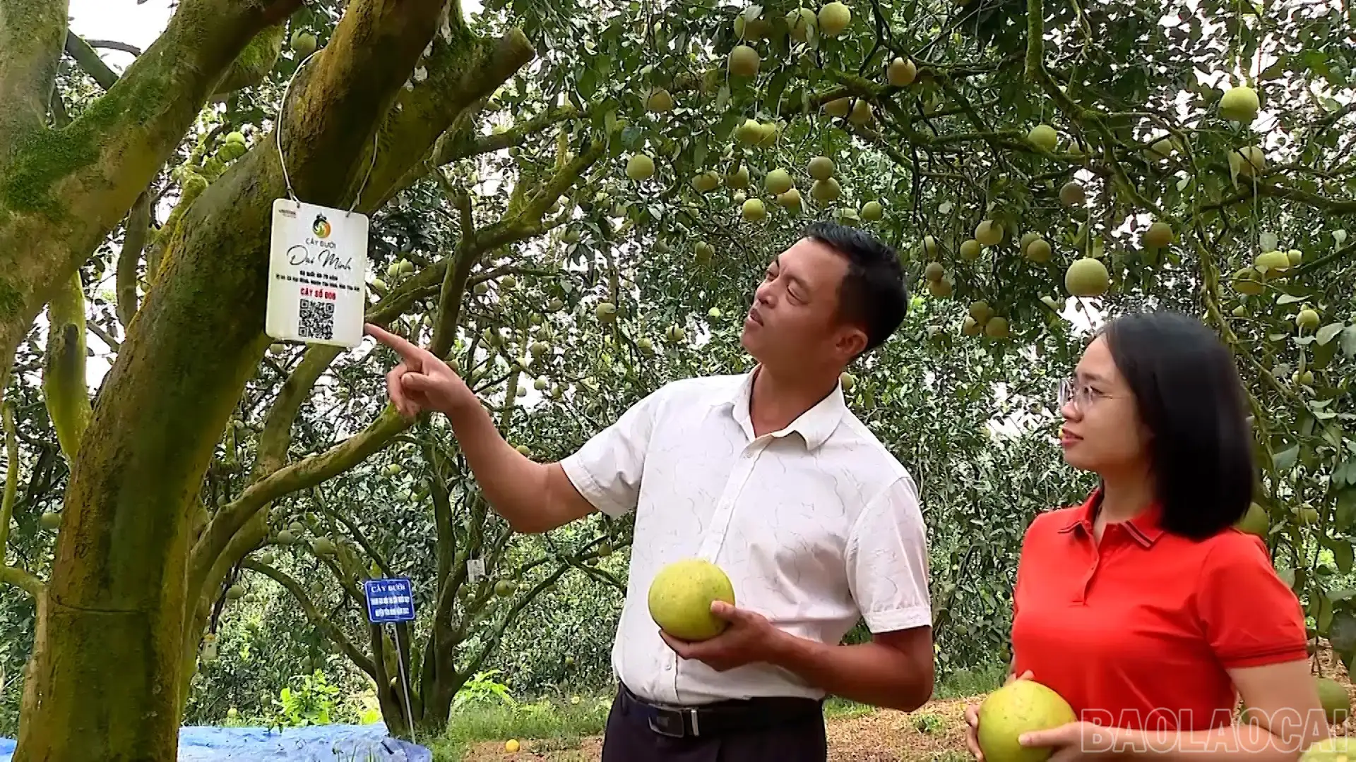 Xây dựng hệ sinh thái truy xuất nguồn gốc hiện đại, minh bạch