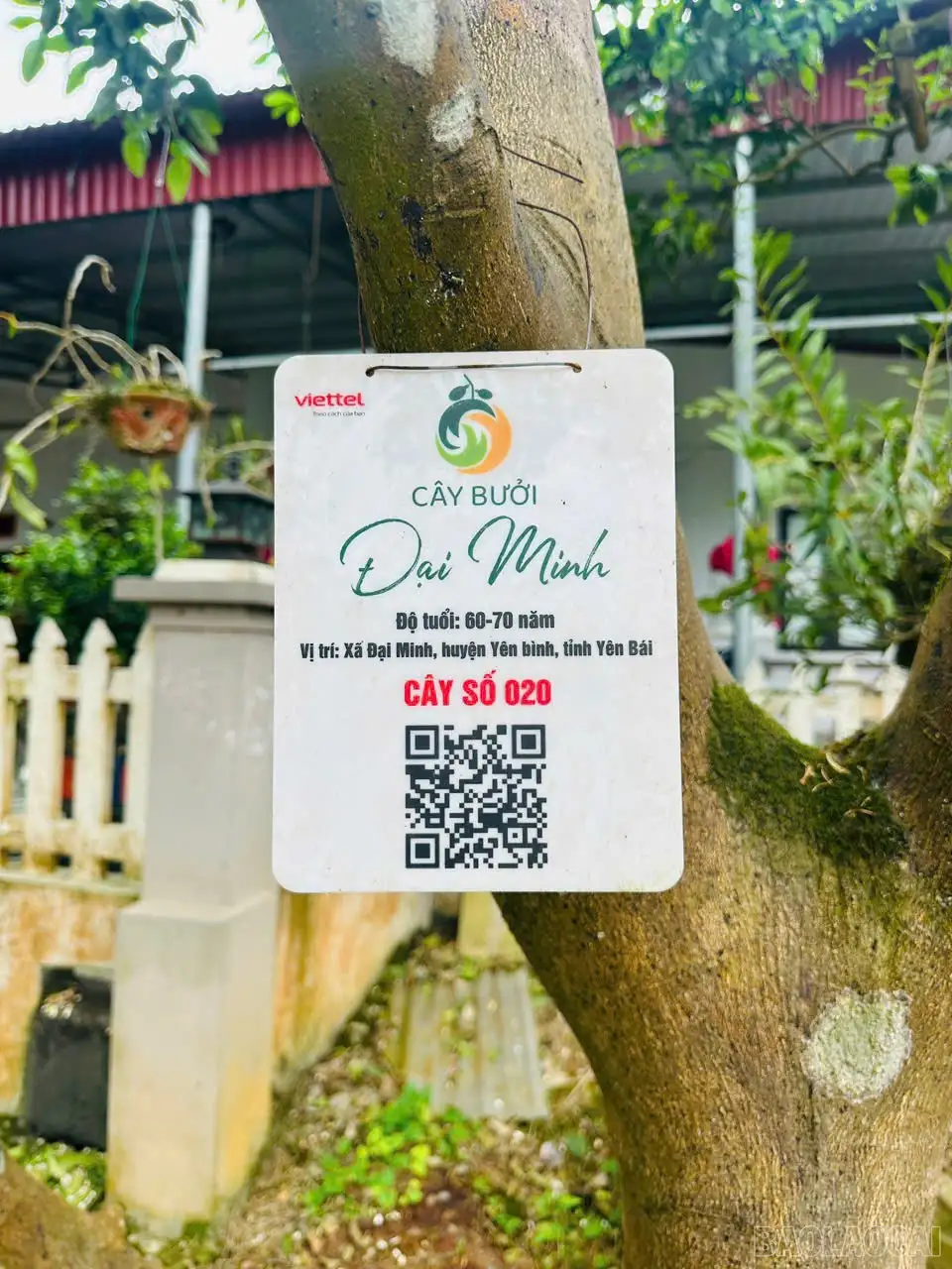 Xây dựng hệ sinh thái truy xuất nguồn gốc hiện đại, minh bạch