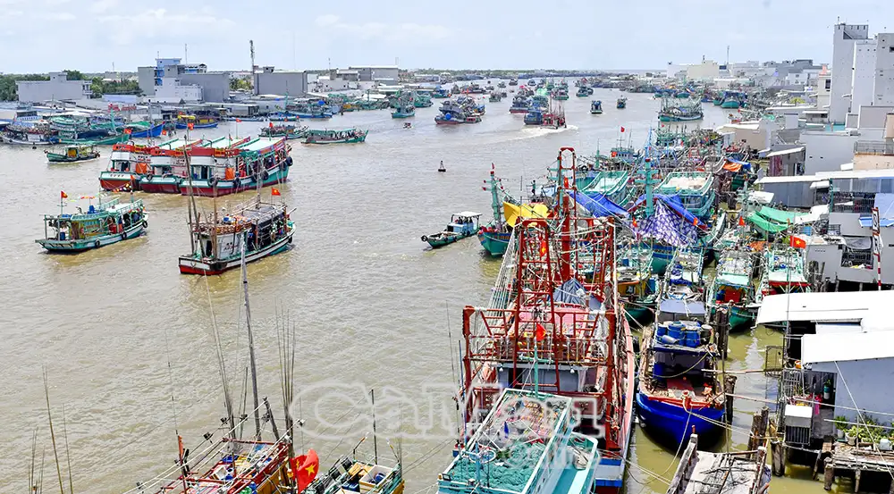 Xây dựng nông thôn Cà Mau “Xanh – Sạch – Hiệu quả – Bền vững”