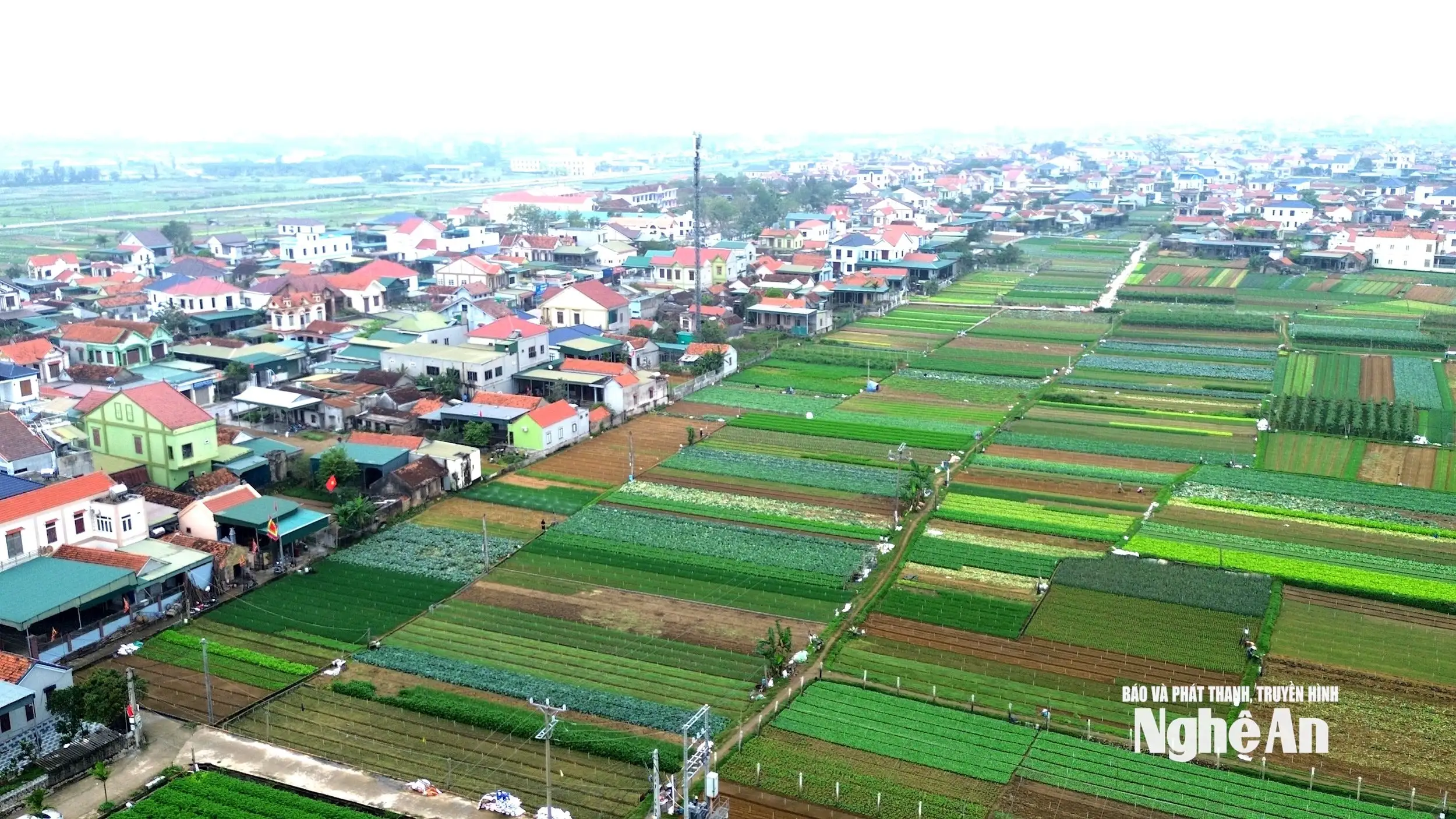 Xây dựng nông thôn mới: Áp lực tiến độ sau sáp nhập xã