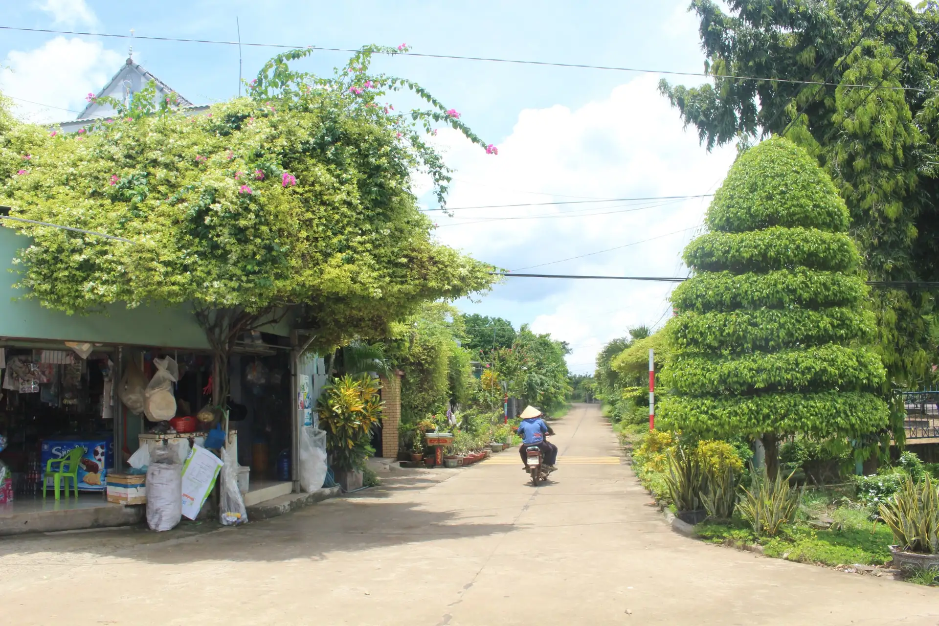Xây dựng nông thôn mới hiện đại, giảm nghèo và phát triển vùng đồng bào DTTS Lâm Đồng