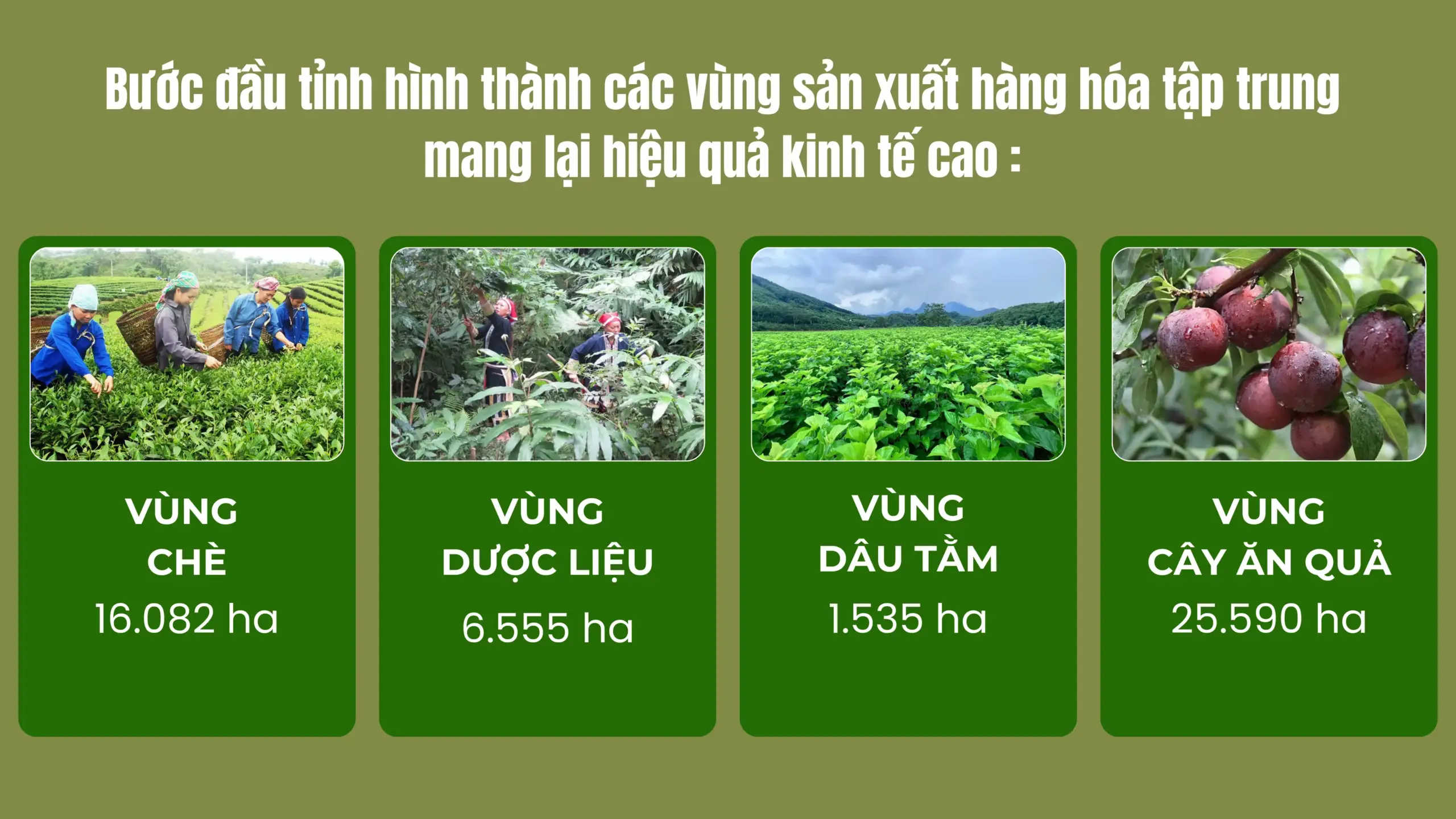 Xây dựng Nông thôn mới Hiện đại – Sinh thái – Văn minh