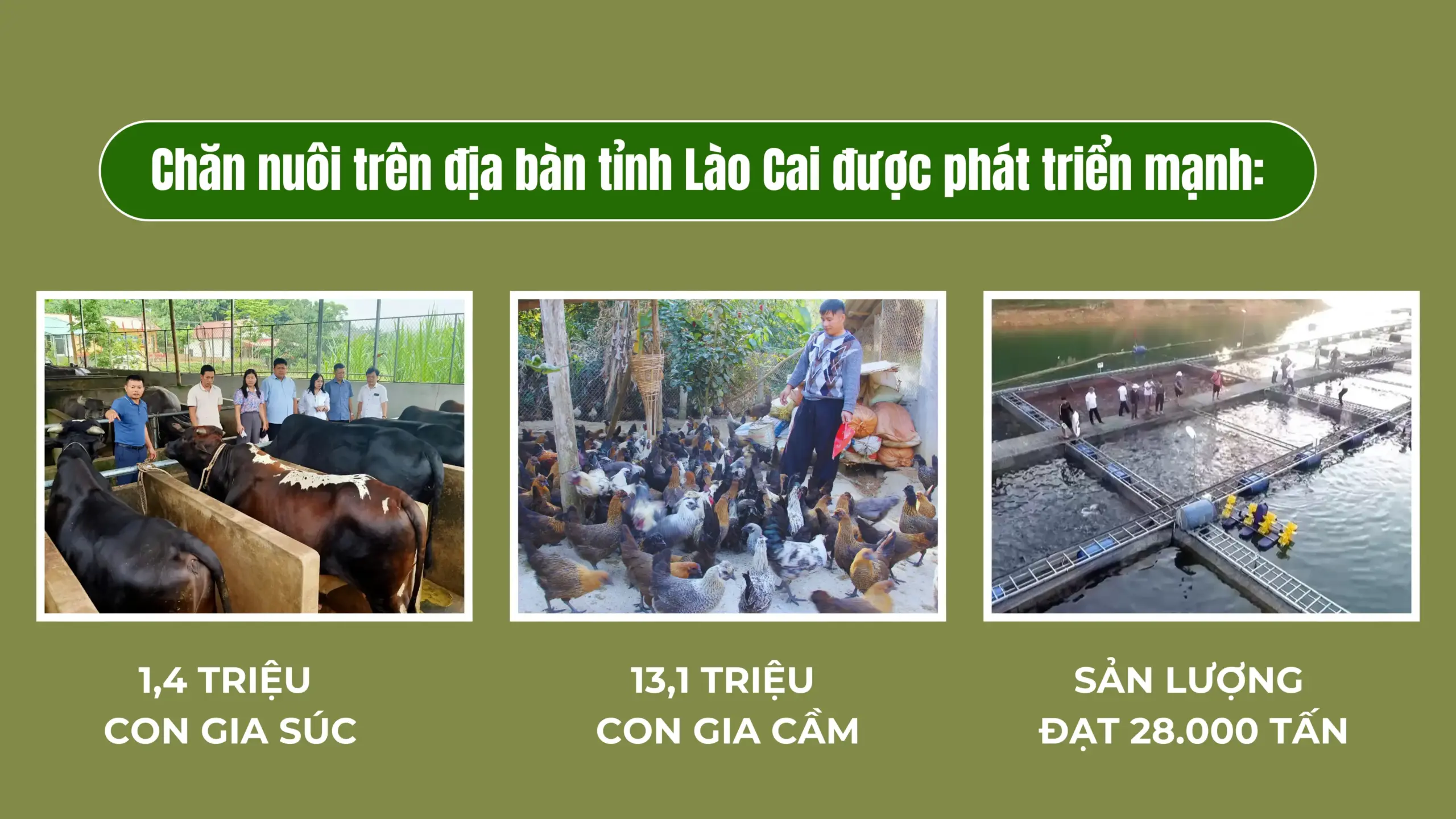 Xây dựng Nông thôn mới Hiện đại – Sinh thái – Văn minh