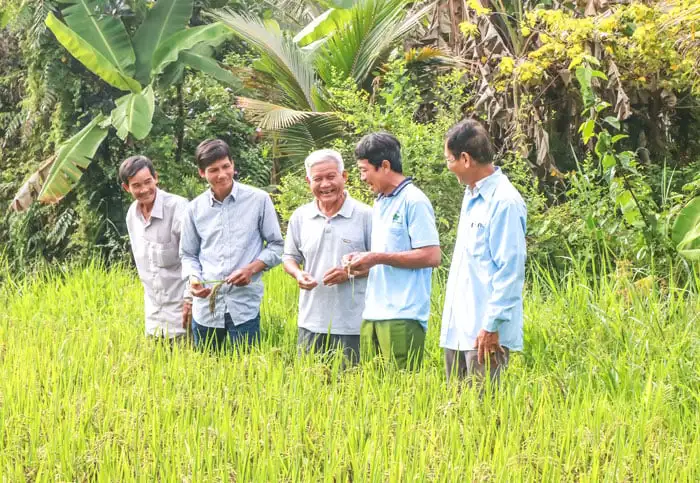 Xây dựng nông thôn mới từ OCOP, hợp tác xã