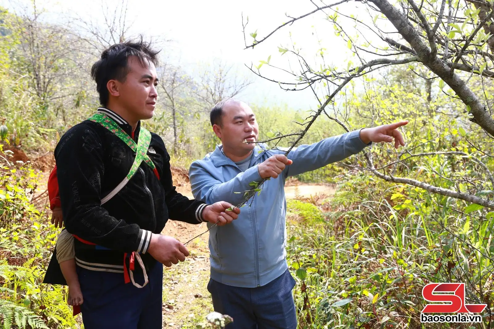 Xím Vàng nỗ lực giảm nghèo