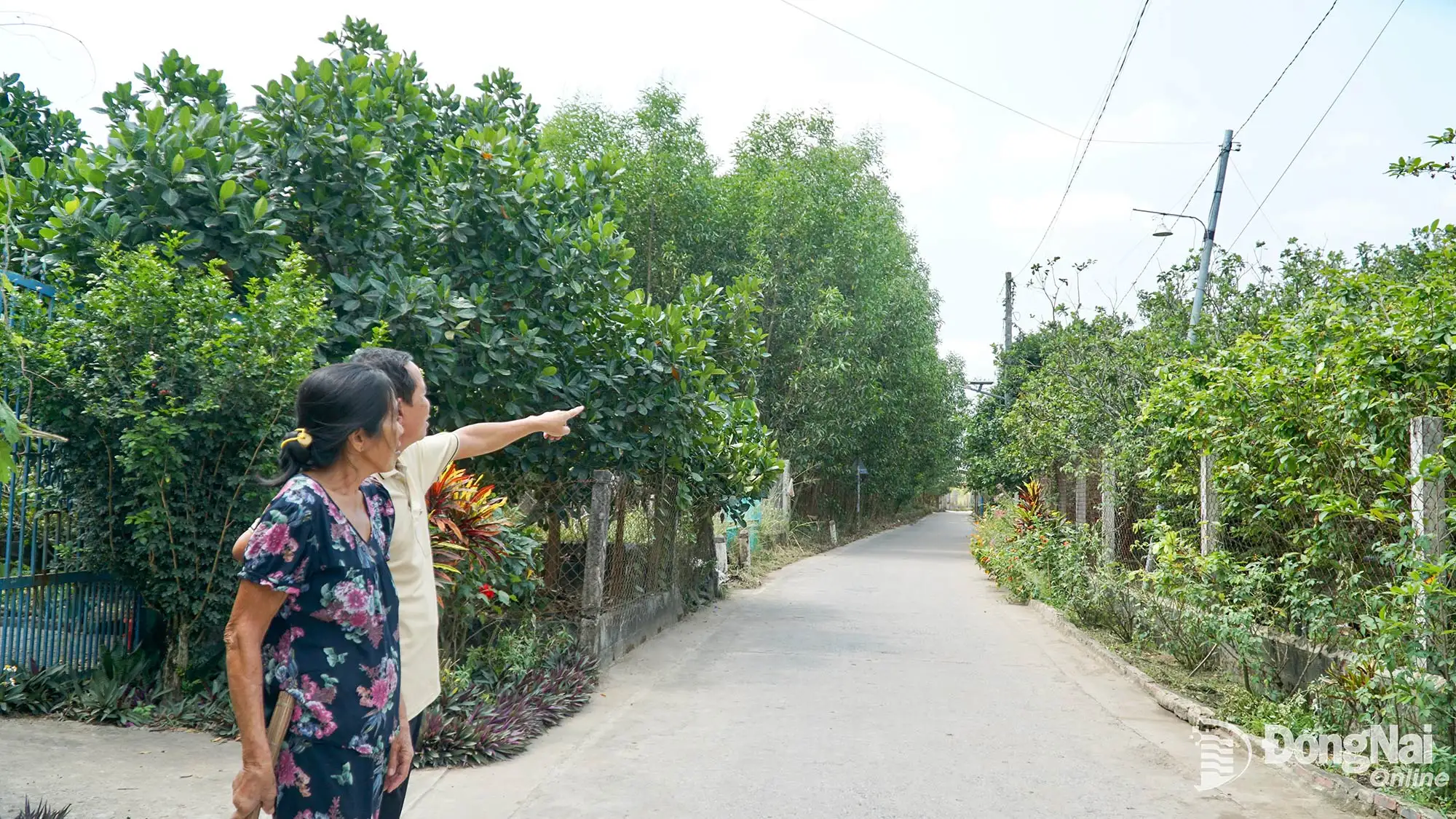 Ý nghĩa những công trình thắp sáng đường quê