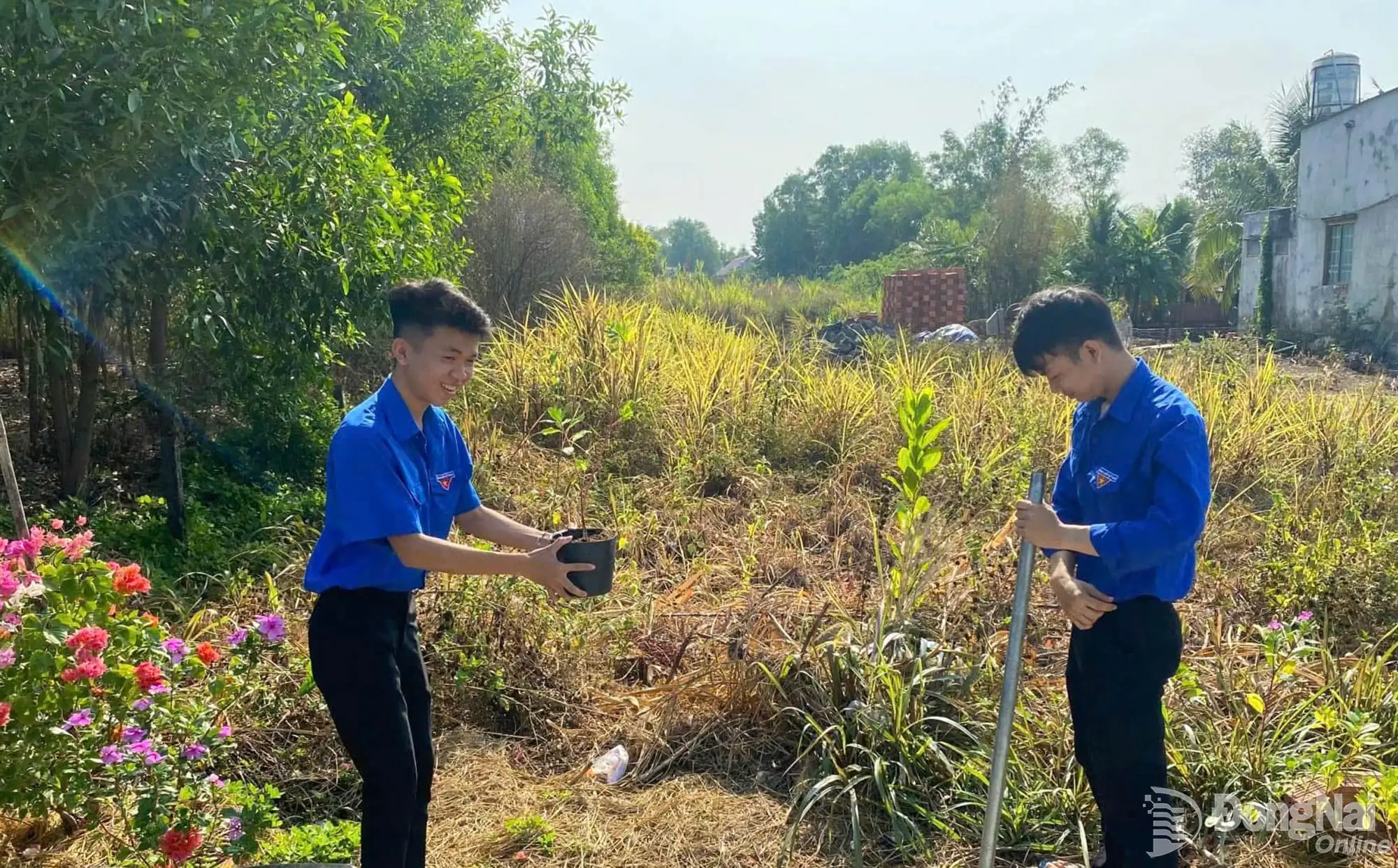 Ý nghĩa những công trình thắp sáng đường quê