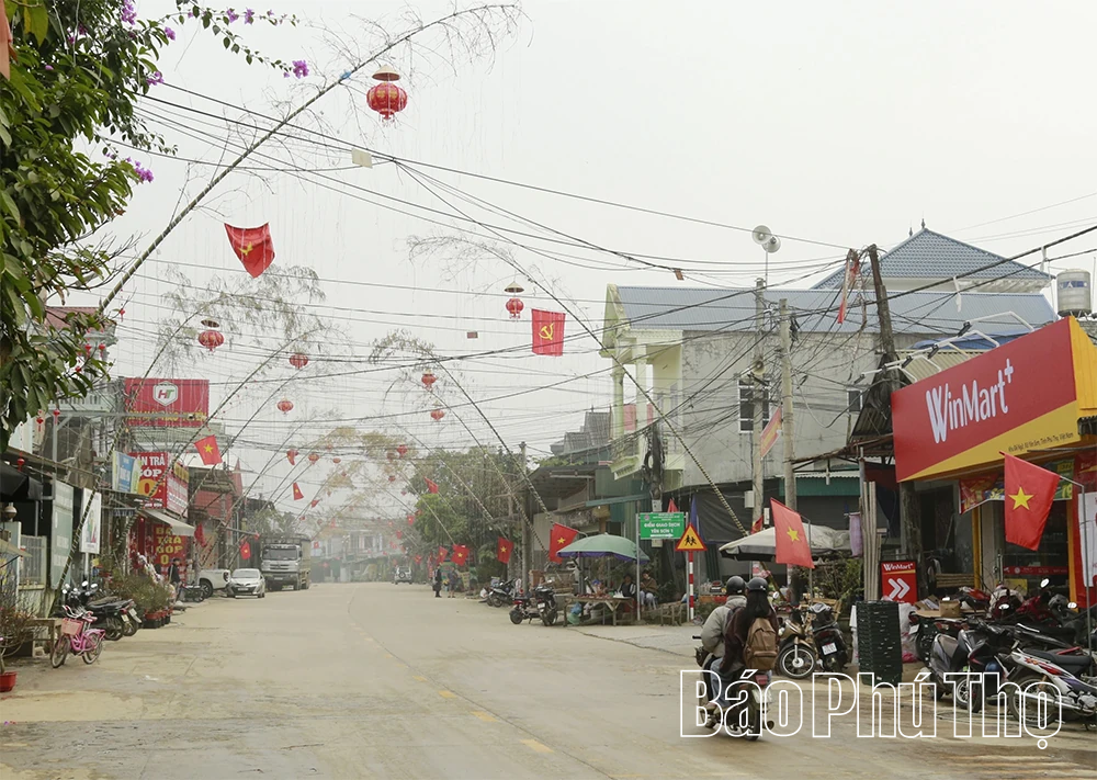 Yên Sơn giảm nghèo từ nguồn lực xanh bền vững