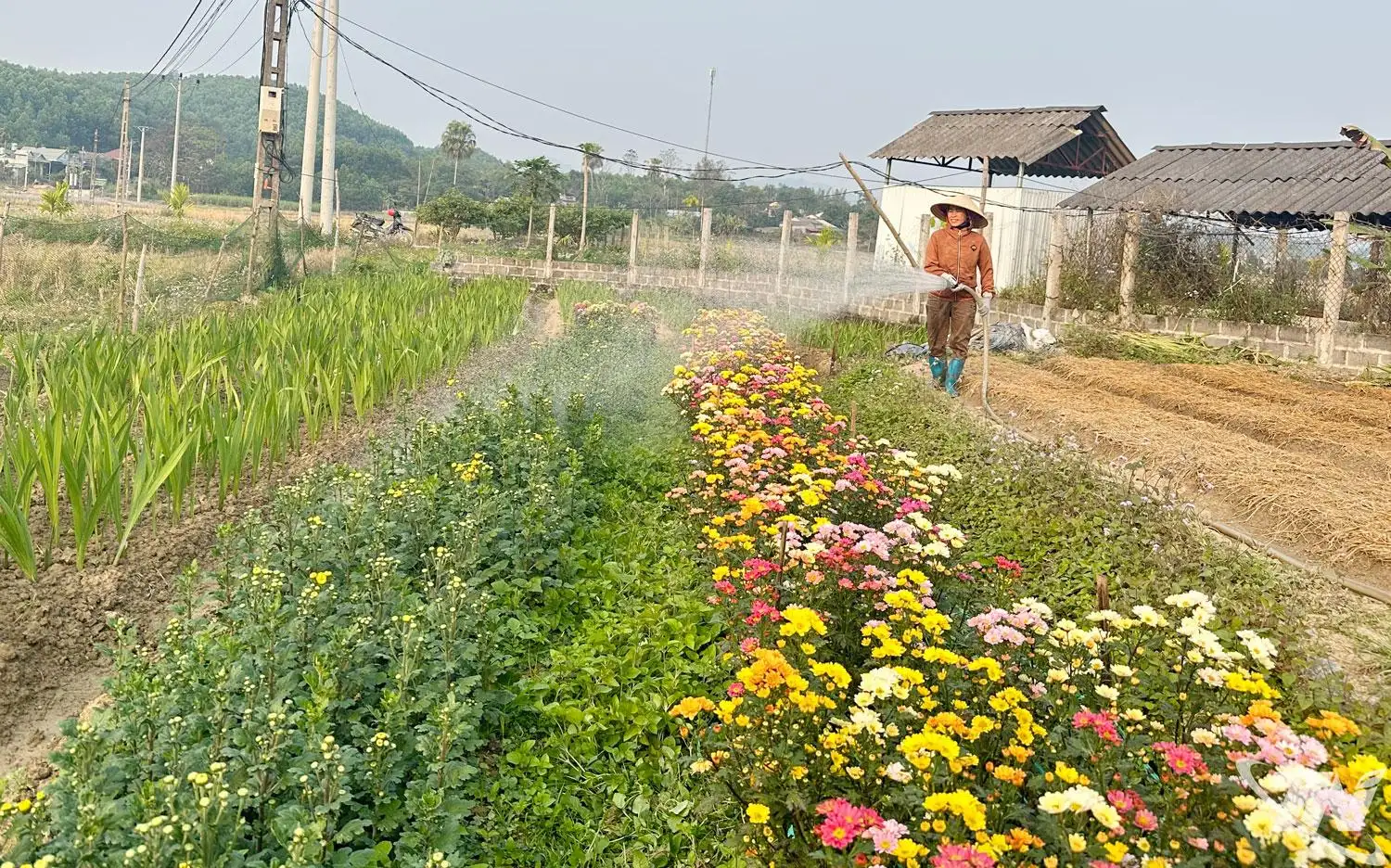 Yên Trạch phát huy lợi thế nông, lâm nghiệp