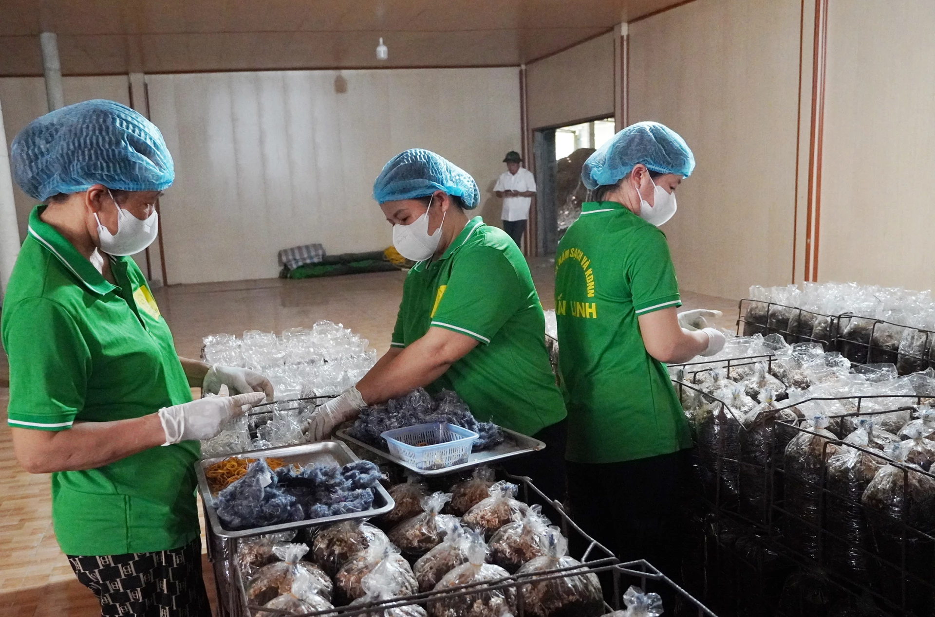 Các hợp tác xã tập trung sản xuất, nâng cao chất lượng sản phẩm