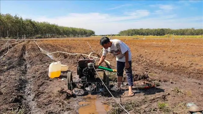 Cơ hội phát triển kinh tế hợp tác xã bền vững và những yêu cầu đổi mới