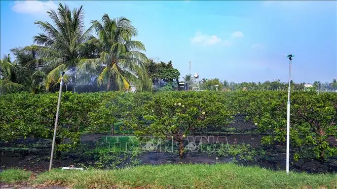 Cơ hội phát triển kinh tế hợp tác xã bền vững và những yêu cầu đổi mới