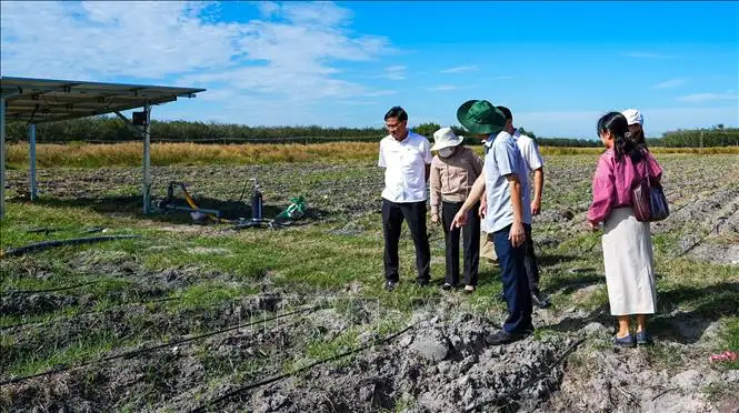 Cơ hội phát triển kinh tế hợp tác xã bền vững và những yêu cầu đổi mới