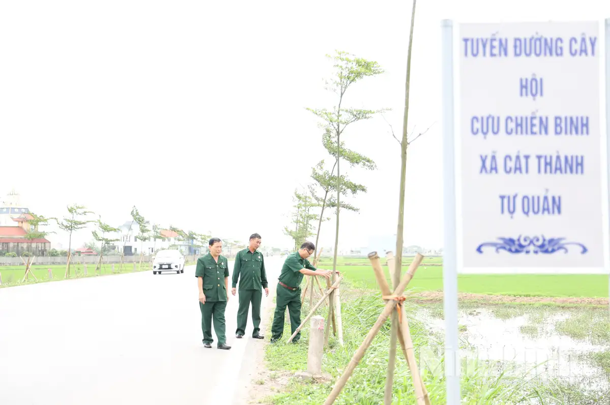 Cựu chiến binh xã Cát Thành thực hiện hiệu quả mô hình “Dân vận khéo” trong xây dựng nông thôn mới