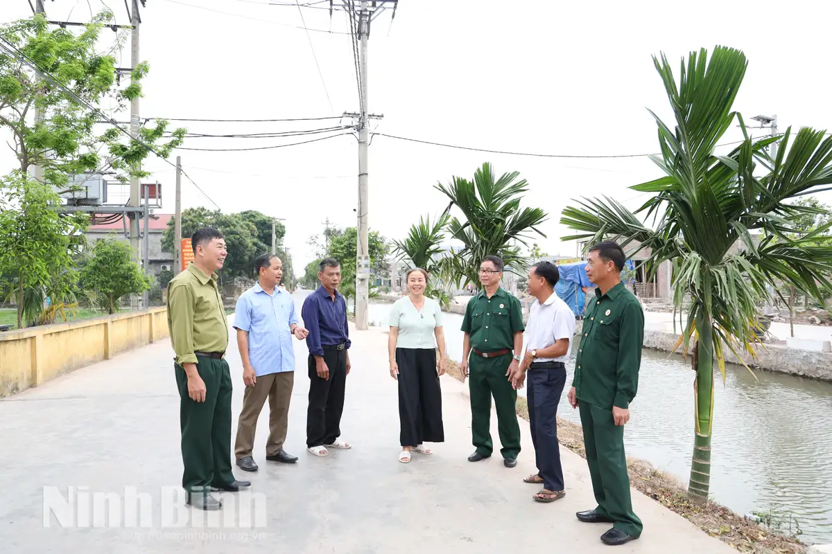 Cựu chiến binh xã Cát Thành thực hiện hiệu quả mô hình “Dân vận khéo” trong xây dựng nông thôn mới