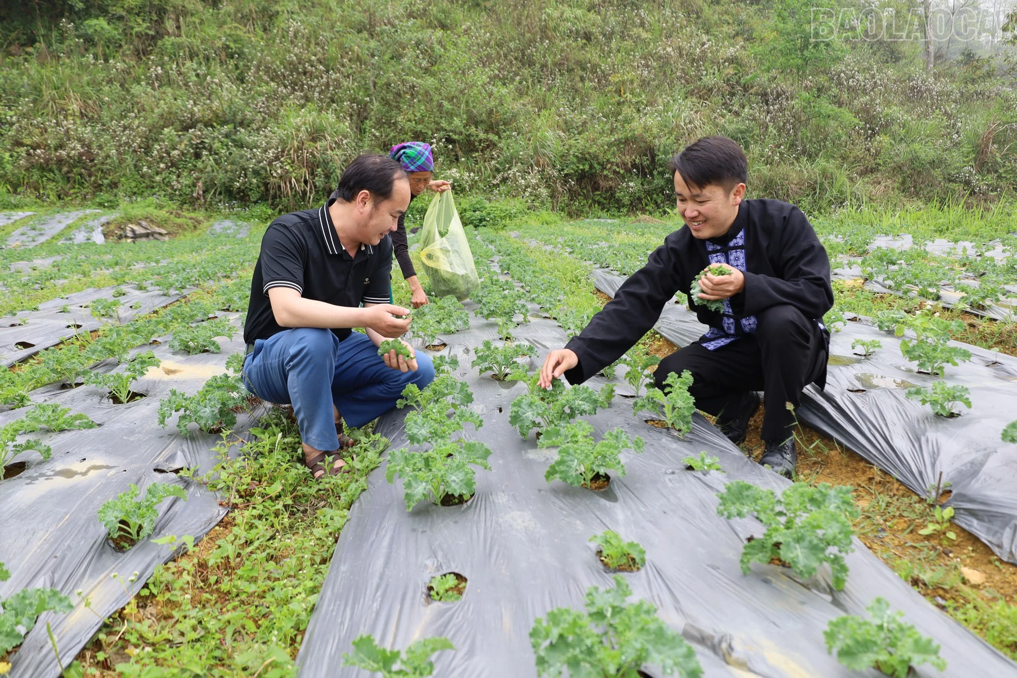 Đa dạng sinh kế nâng cao thu nhập cho người dân