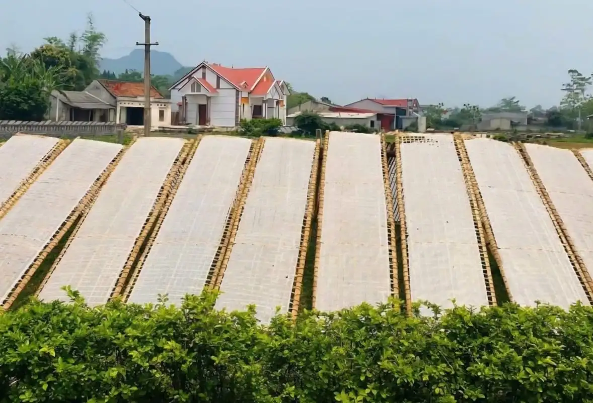 Di sản địa chất mở đường nông thôn mới:[Bài 2] Kết nối cao khô Vạn Linh
