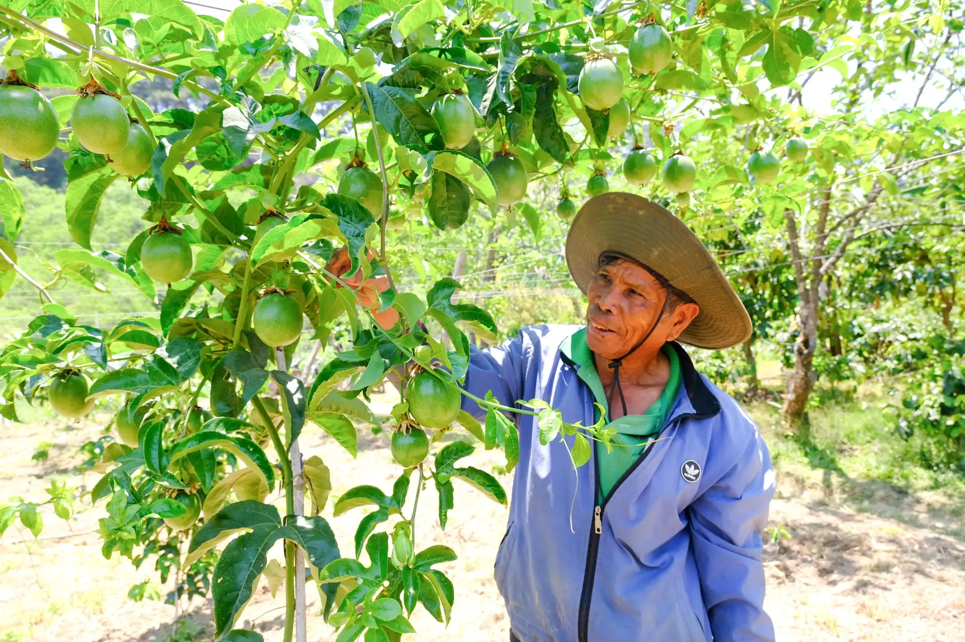 D’ran đổi thay nhờ chính sách dân tộc