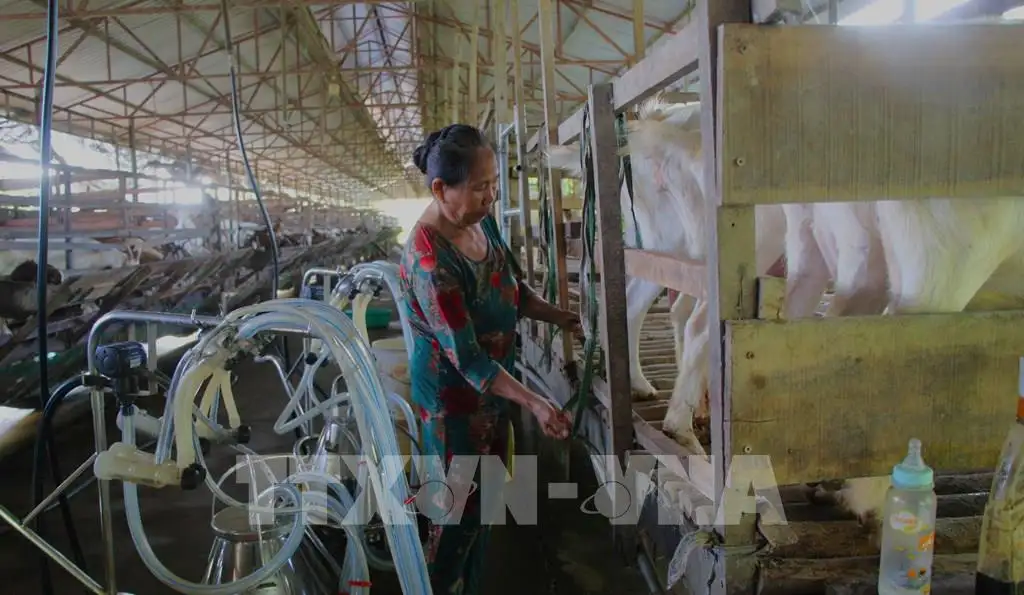 Du lịch sinh thái Cần Thơ chờ cú hích hạ tầng