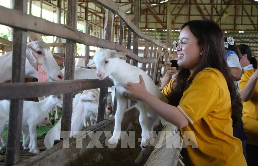 Du lịch sinh thái Cần Thơ chờ cú hích hạ tầng