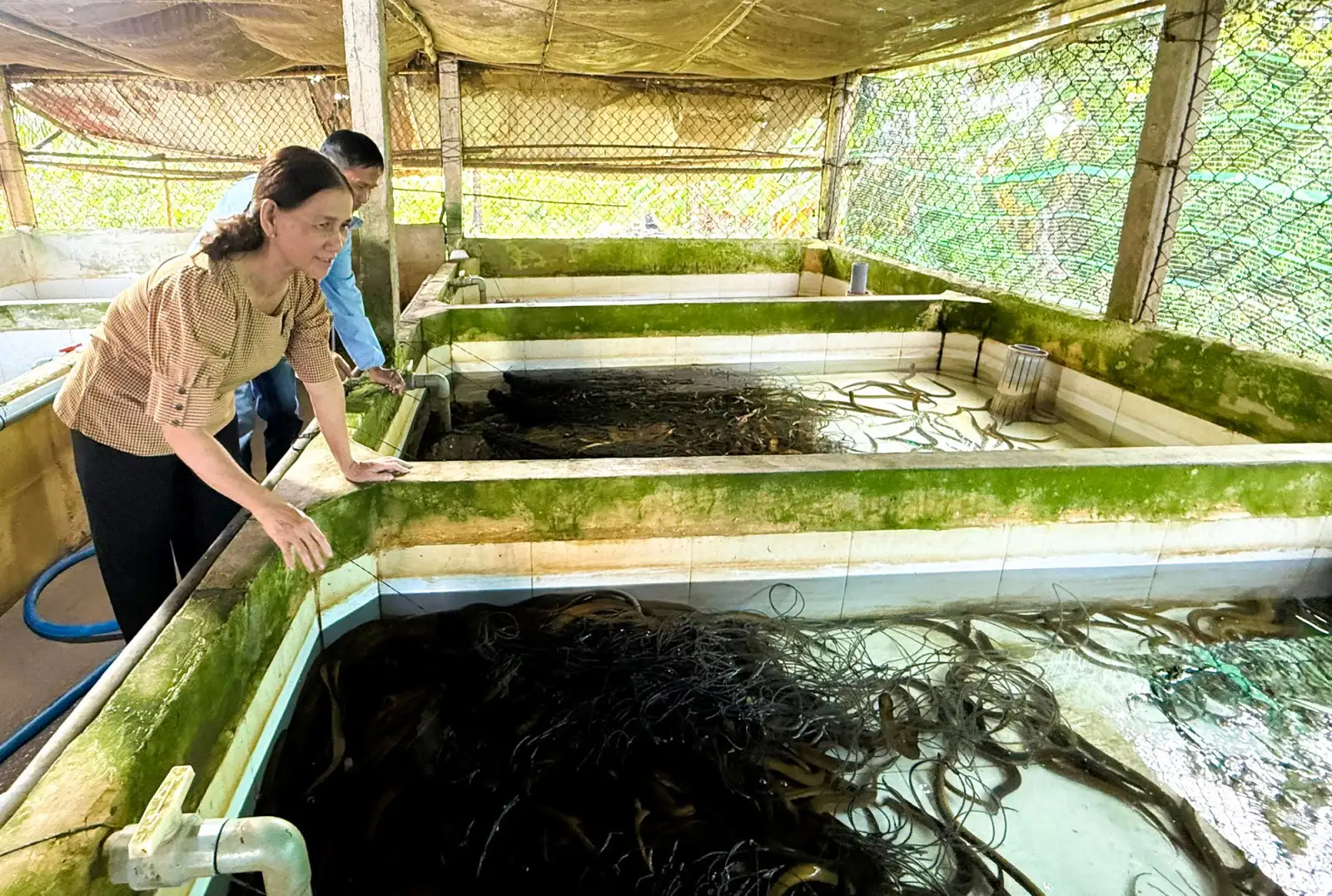 Đưa nghị quyết vào việc cụ thể