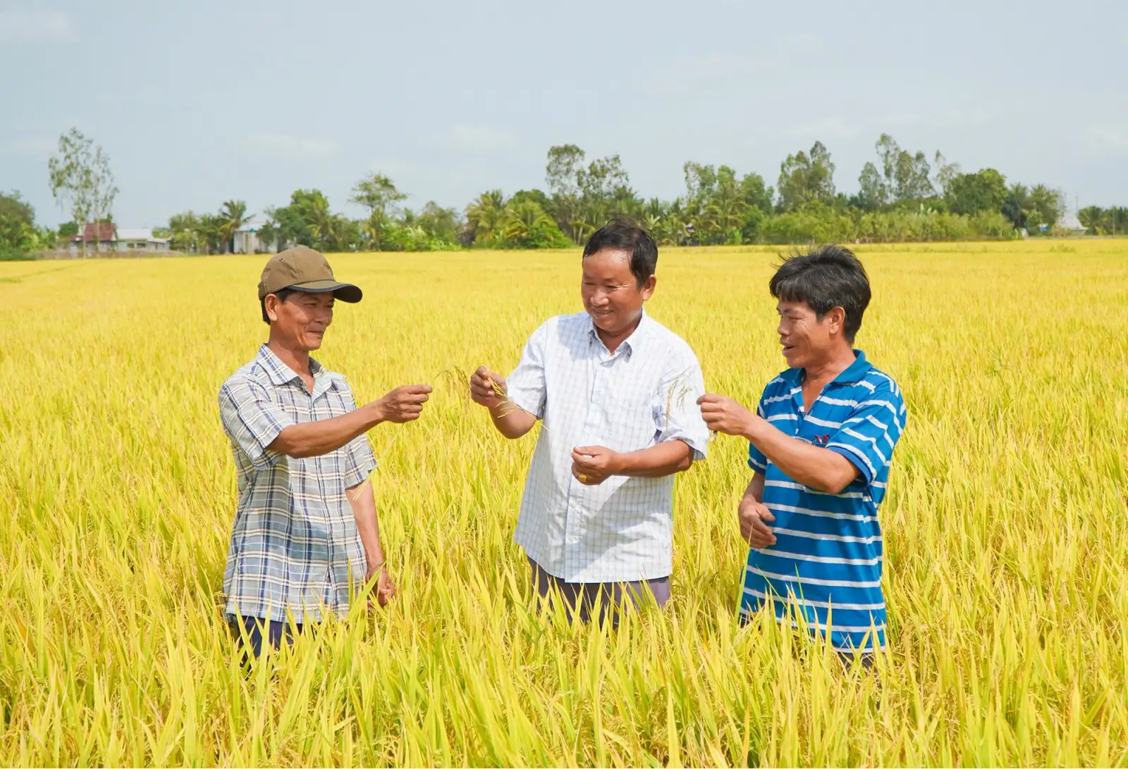 Đưa nghị quyết vào việc cụ thể