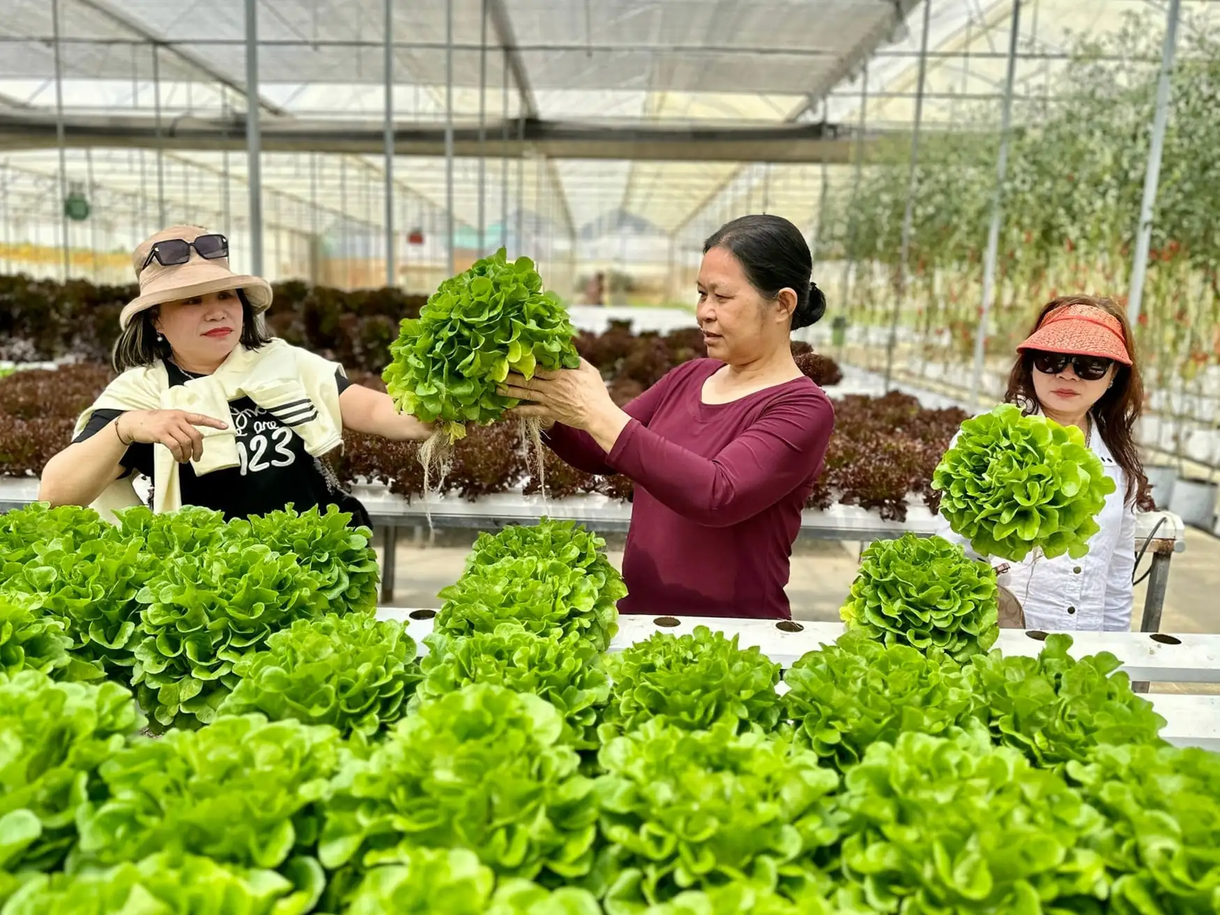 Đưa nông sản sạch Lâm Đồng đến với người tiêu dùng