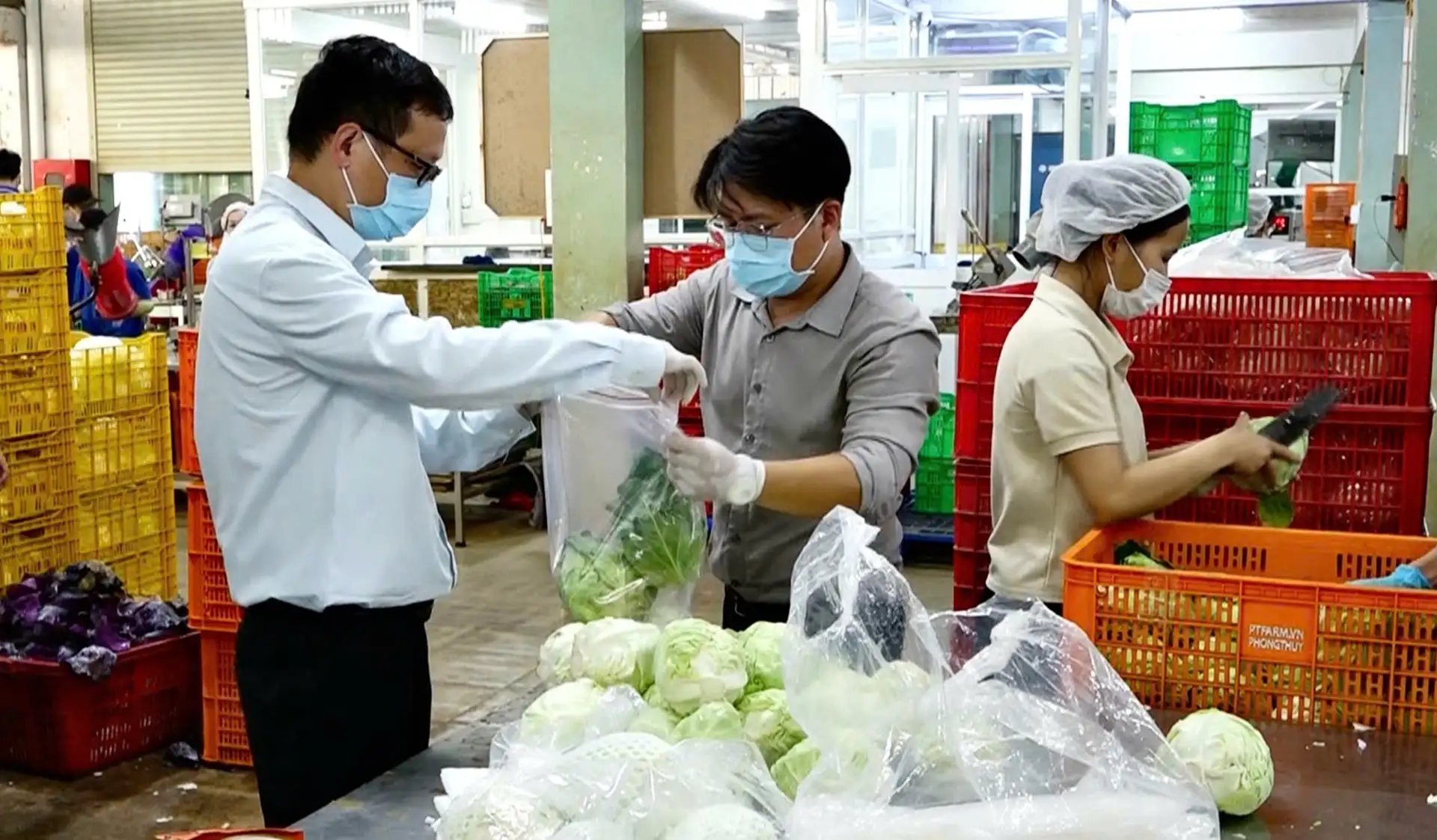 Đưa nông sản sạch Lâm Đồng đến với người tiêu dùng