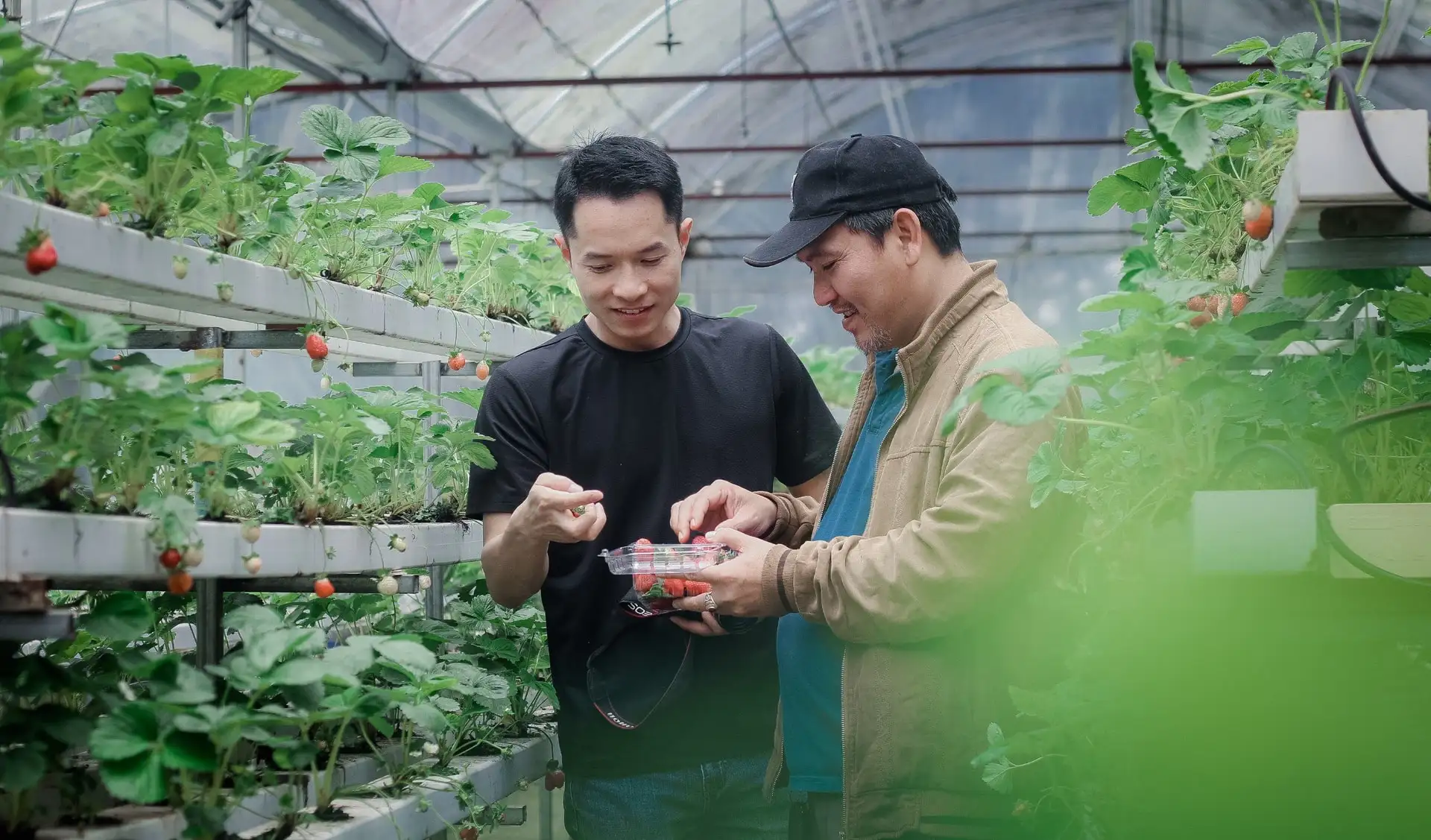 Đưa nông sản sạch Lâm Đồng đến với người tiêu dùng