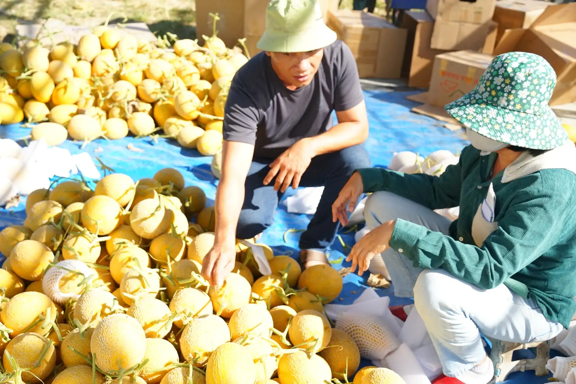 Hàm Thạnh “ươm xanh” sinh kế vùng đồng bào dân tộc thiểu số