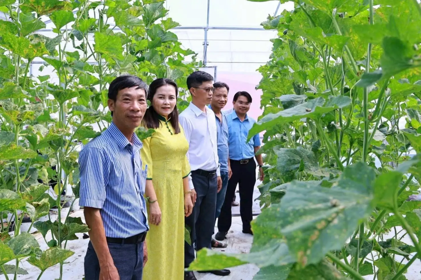 Hàm Thạnh “ươm xanh” sinh kế vùng đồng bào dân tộc thiểu số