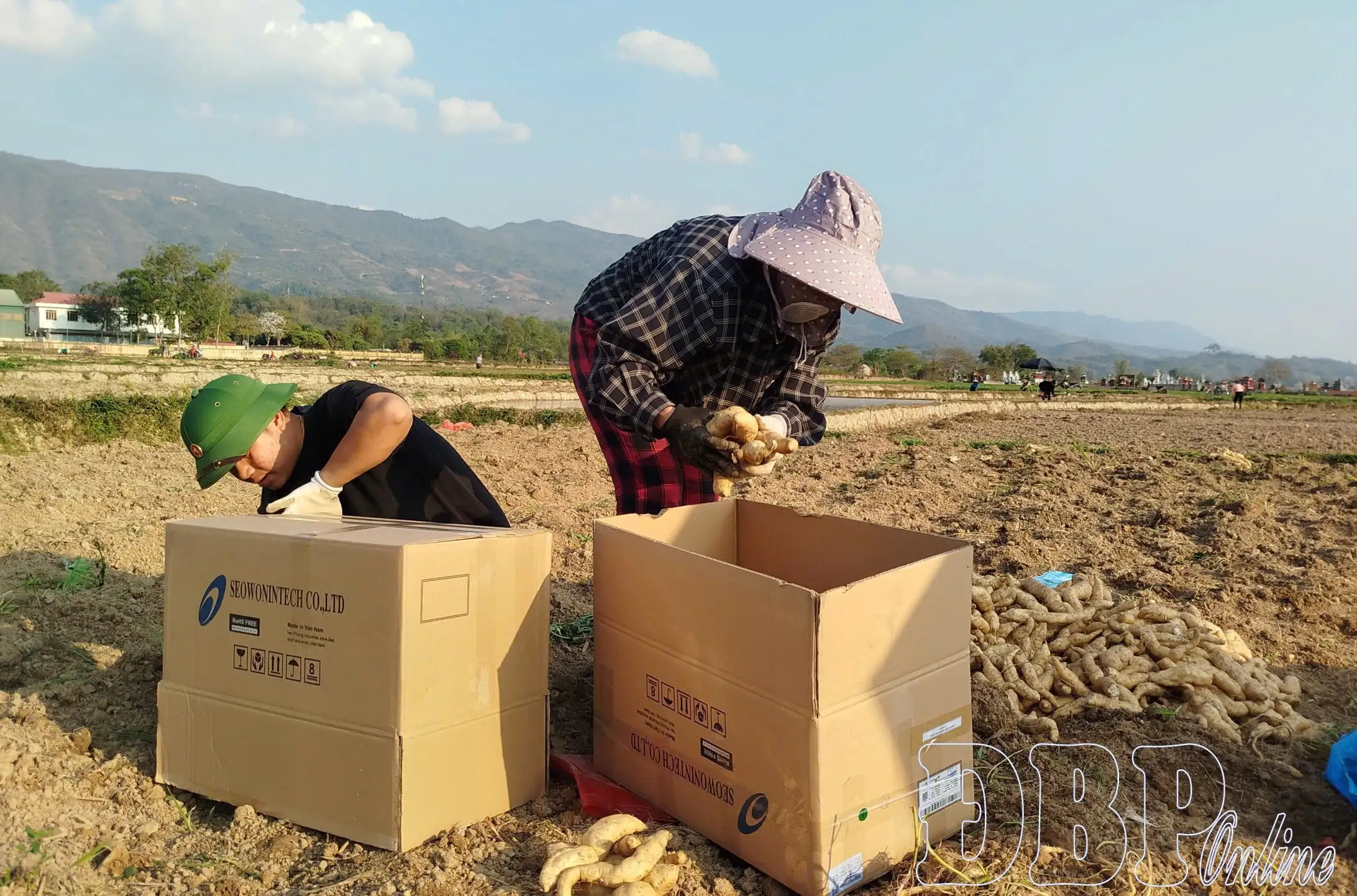 Hiệu quả rõ, nhưng “nút thắt” còn đó