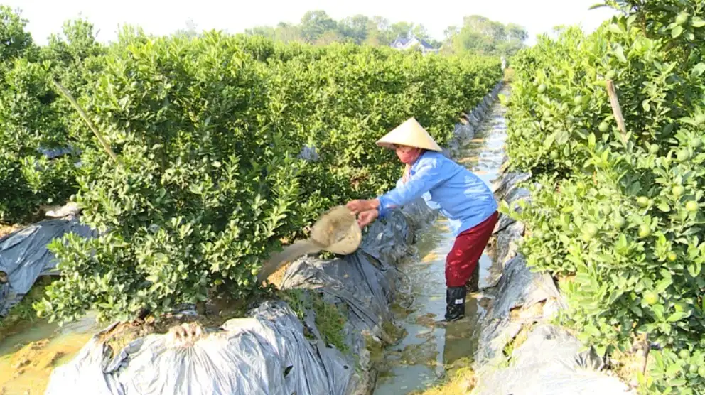 Hợp Tiến phát huy nội lực, tăng tốc về đích nông thôn mới năm 2026