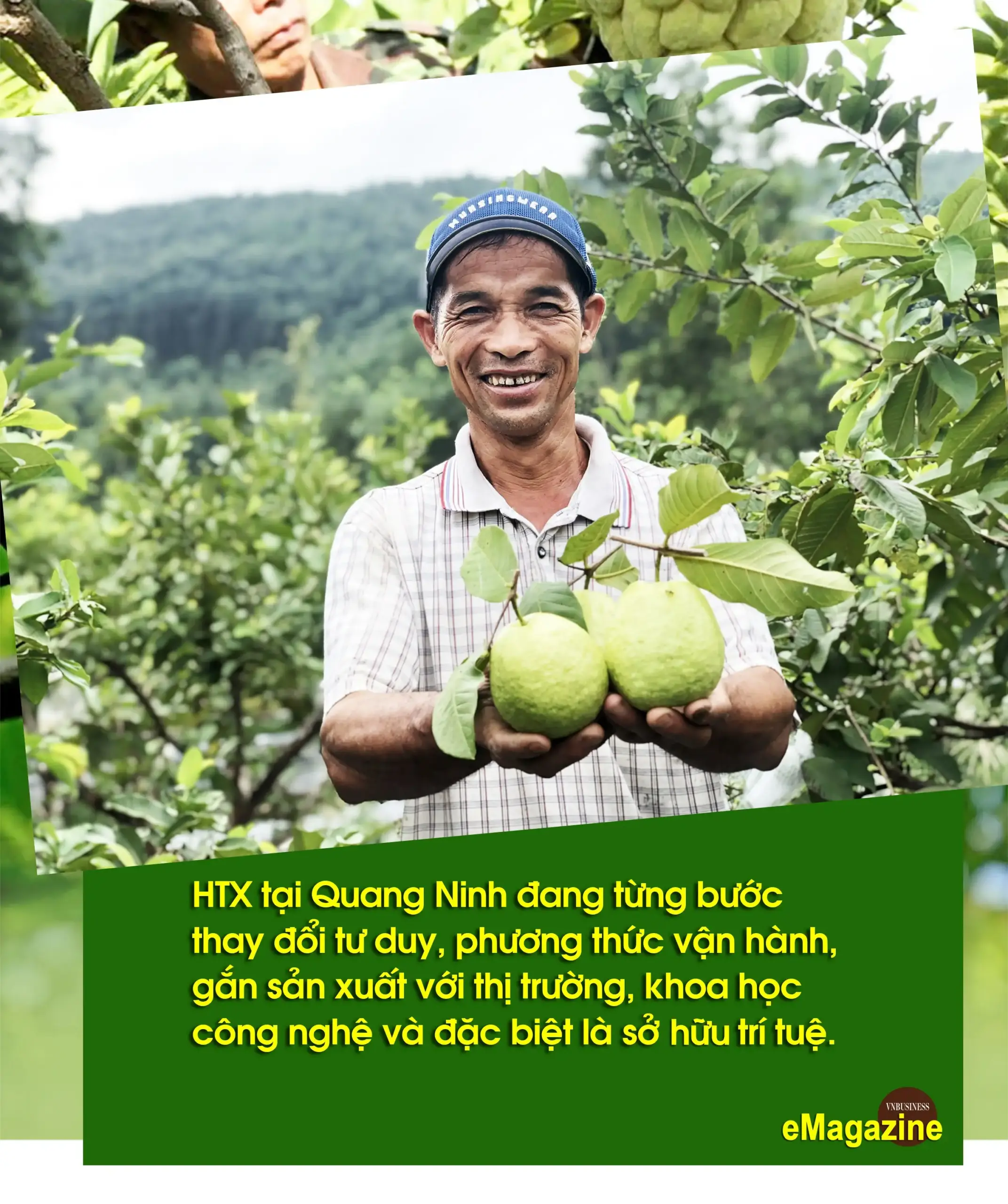 HTX trên đất mỏ và bước chuyển trong tư duy “liên kết trí tuệ”