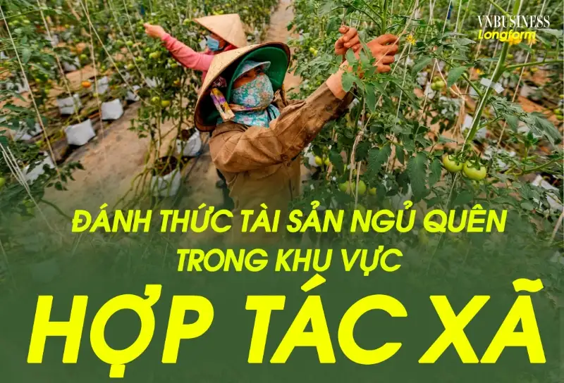 HTX trên đất mỏ và bước chuyển trong tư duy “liên kết trí tuệ”