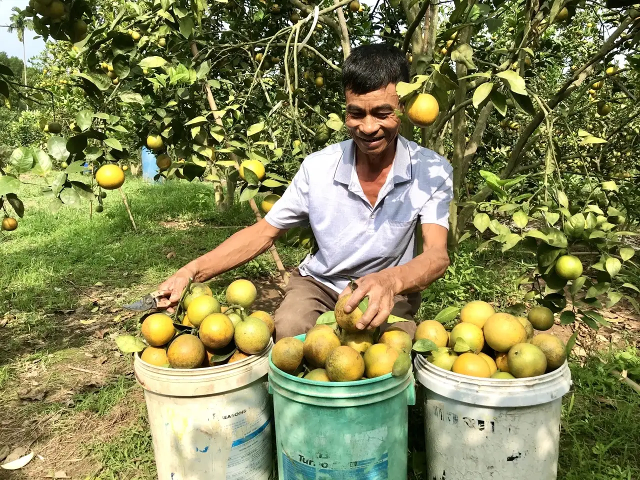 HTX trên đất mỏ và bước chuyển trong tư duy “liên kết trí tuệ”